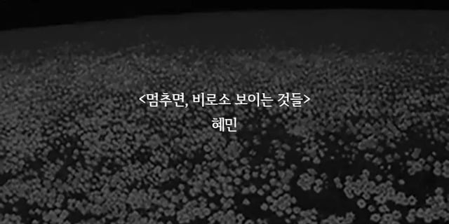 죽기전에 무조건 읽어야 한다는 인생 책 | 인스티즈