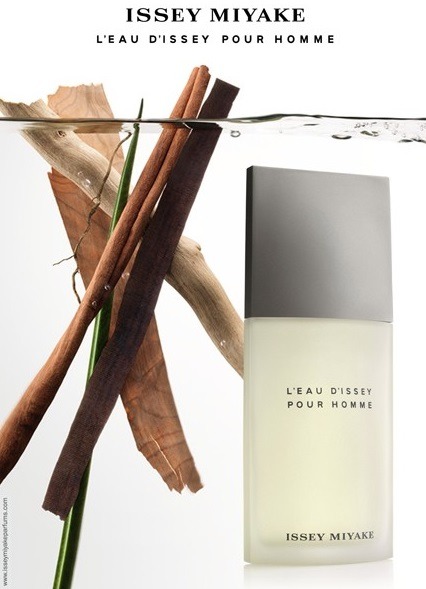 유명 남자 연예인들이 즐겨쓰는 향수 모음 | 인스티즈