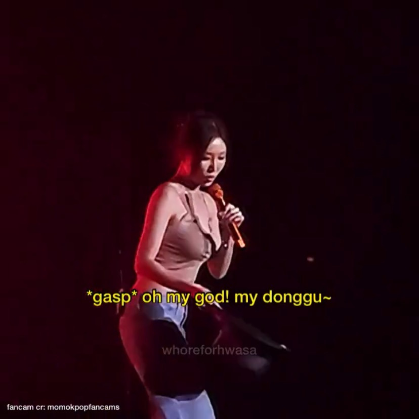 화사 강아지 "똥꼬” 영어이름은.. | 인스티즈