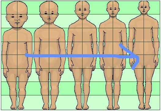 동양인과 서양인의 체형은 왜 다를까?? | 인스티즈