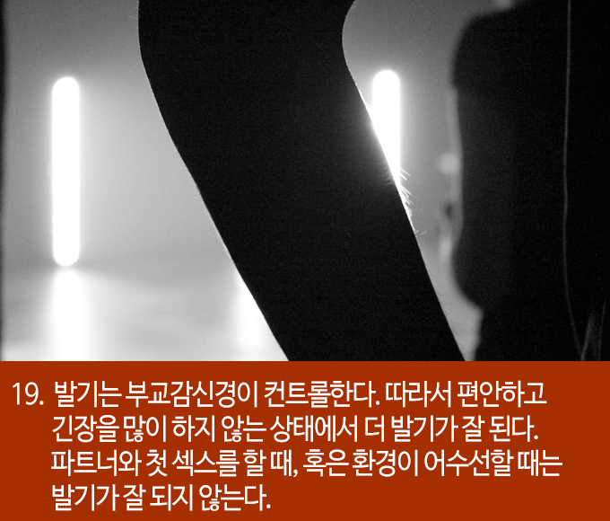발기에 대한 흥미로운 22가지 사실들 | 인스티즈
