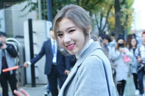 사나 머리 염색들 | 인스티즈