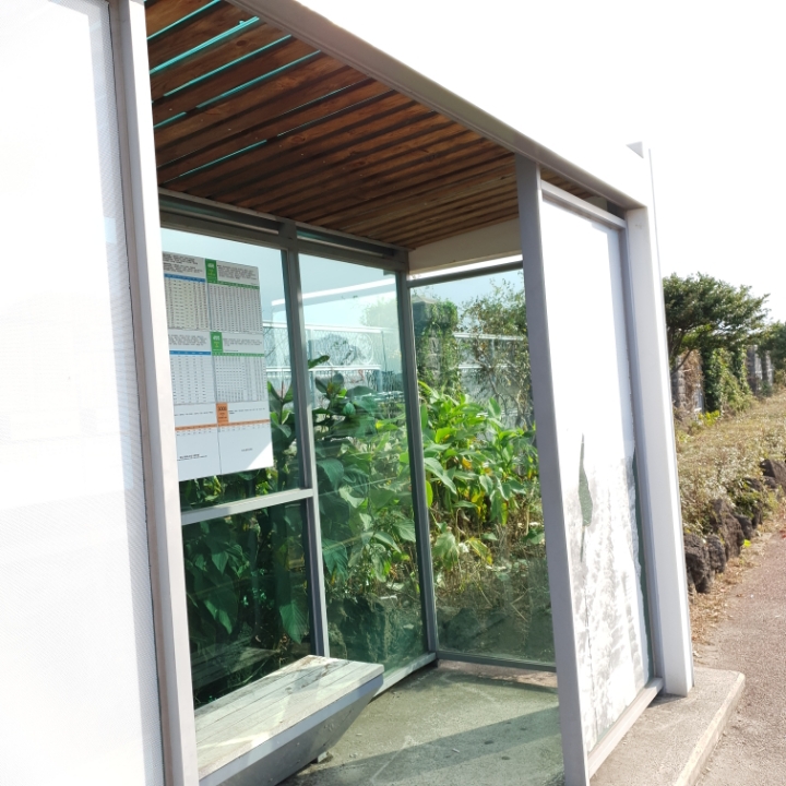 👣3박 4일 제주도 뚜벅이 여행👣 - 1일 차 | 인스티즈