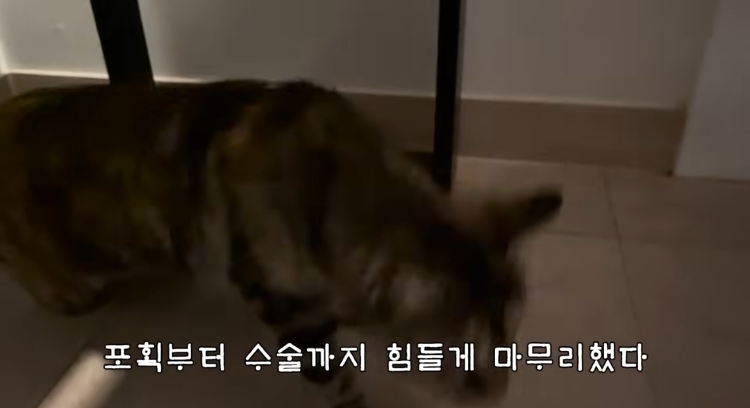 5년만에 haha ha에게 마음을 연 카오 | 인스티즈