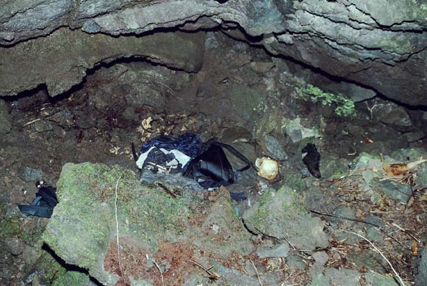 일본의 죽음의 숲 (일본 내 자살1위) 아오키가하라 사진. (시체 , 심약자, 비위약한사람들 보면안됨) | 인스티즈