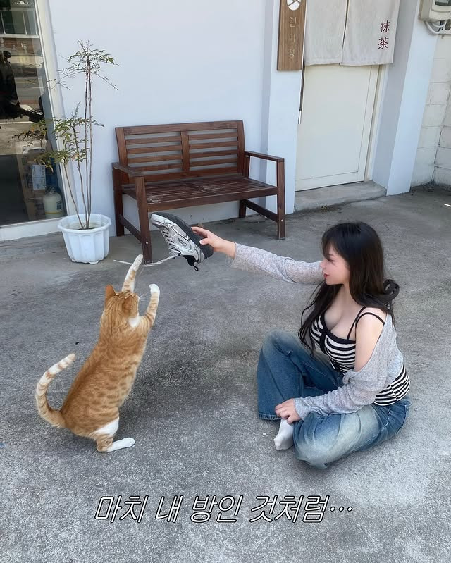 인스타 인플루언서 @charming__ny | 인스티즈