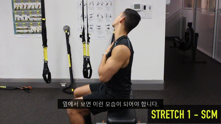 거북목을 고쳐봅시다. 2탄 (0. 거북목과 이중턱 1.턱 운동에 대해 2.턱운동 해보기) - 데이터 스압주의 | 인스티즈