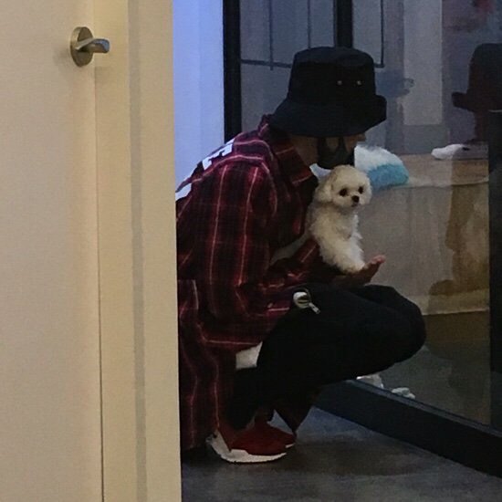 슈퍼주니어 이특이 키우는 반려견 심쿵.jpg | 인스티즈
