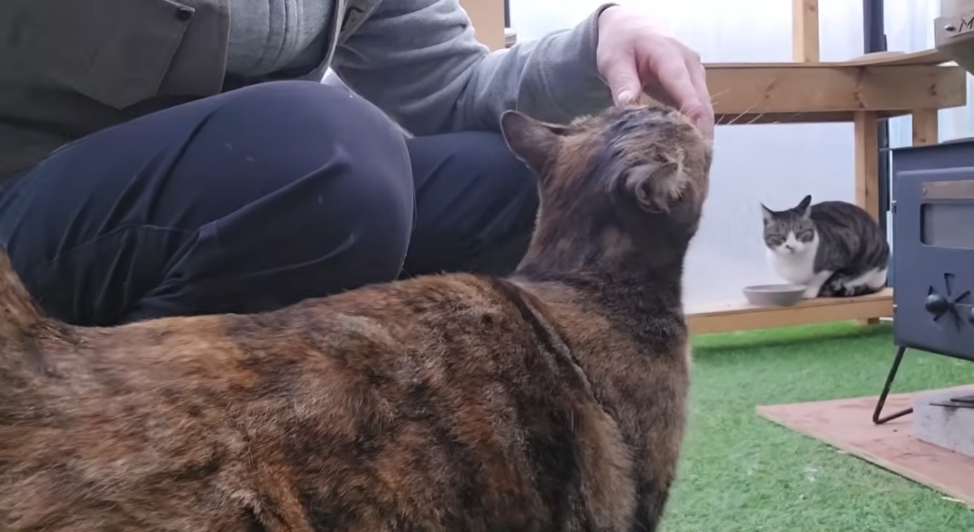 5년만에 haha ha에게 마음을 연 카오 | 인스티즈