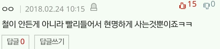 결혼 안한 40대 여자가 사는 삶입니다 | 인스티즈