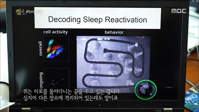 충격적인 수면의 중요성....jpg | 인스티즈