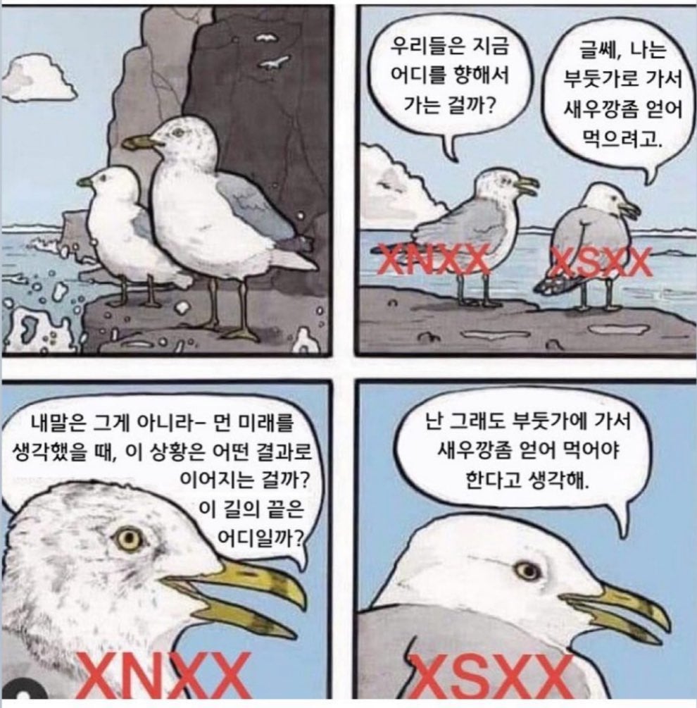 난 솔직히 현 대통령...공능제스러운 외교 마인드가 개처웃김;; | 인스티즈