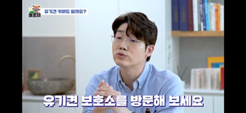 견주 초보일 수록 유기견이 좋은 이유 | 인스티즈
