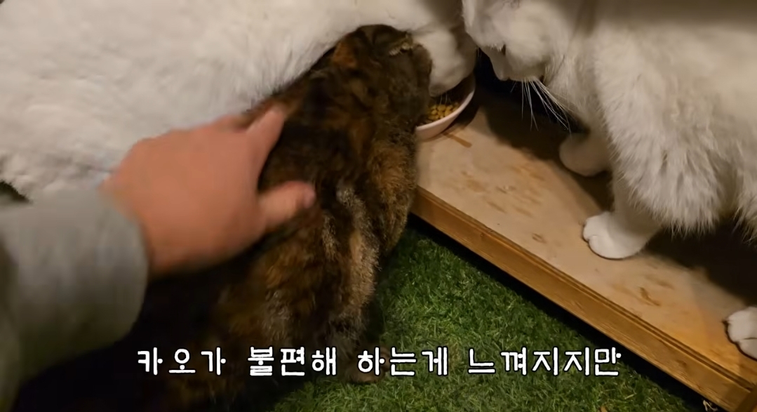 5년만에 haha ha에게 마음을 연 카오 | 인스티즈