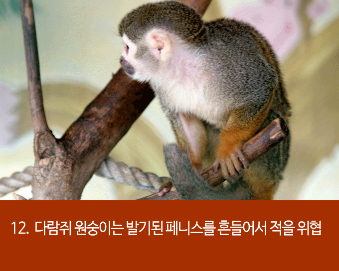 발기에 대한 흥미로운 22가지 사실들 | 인스티즈