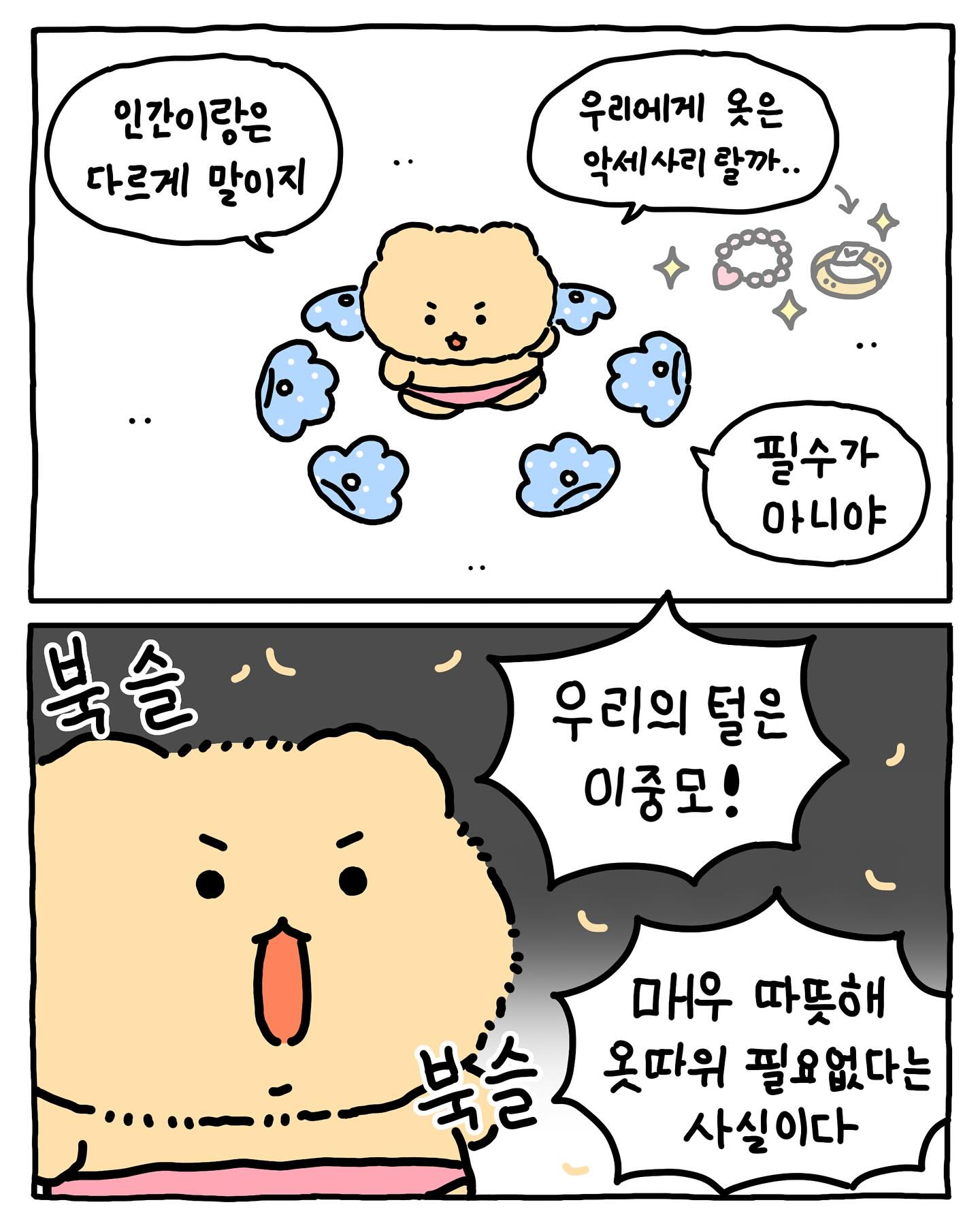 [망그러진곰] 왜 다른 동물들은 옷을 벗고 있나요? | 인스티즈