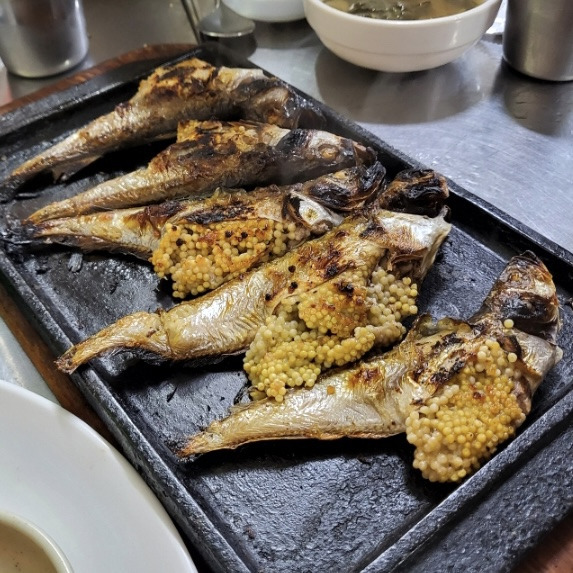 도루묵은 묵이 아니야 | 인스티즈