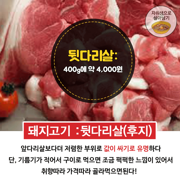 고기는 사랑입니다... 자취생 가성비 고기부위 | 인스티즈