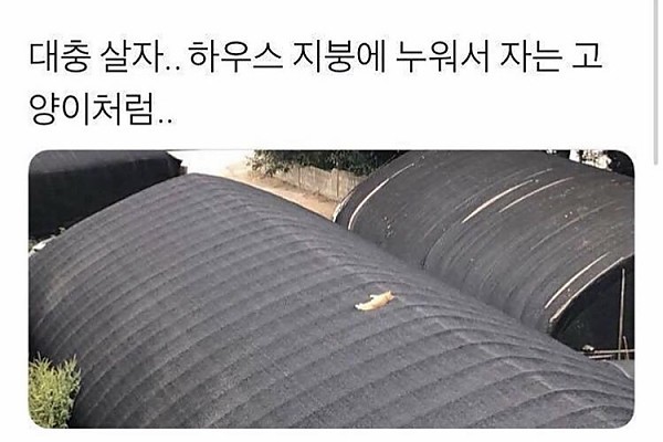 대충살자 시리즈 ㅋㅋㅋㅋ | 인스티즈