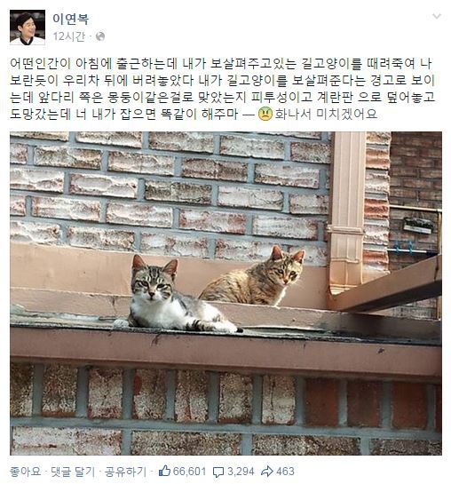 너무 충격적인 연복쌤 길고양이 사건 | 인스티즈