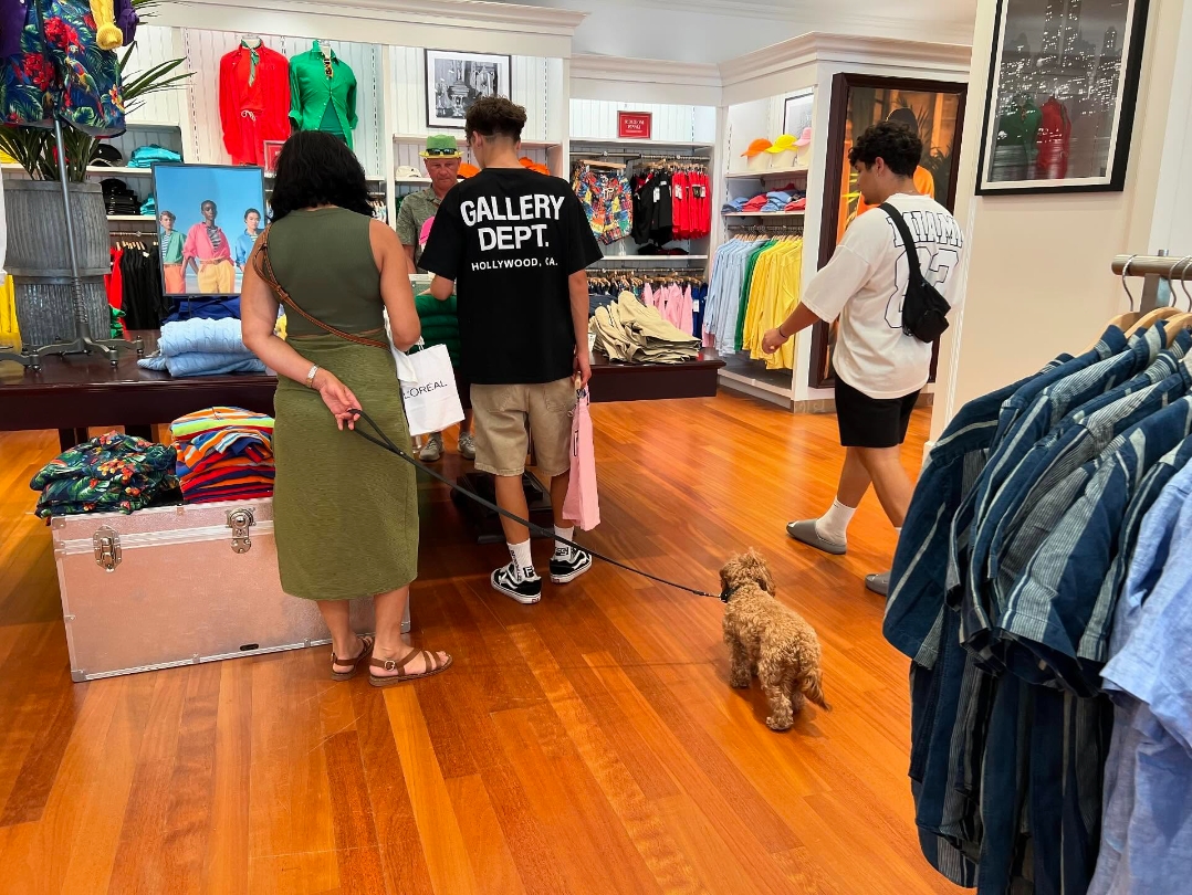 사람들이 개모차 쓰는 진짜 이유 | 인스티즈