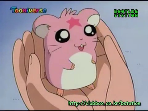 친구가 내 햄스터 보더니 저녁때까지만 자기가 데리고 있겠다고 고집부려서 허락했는데... | 인스티즈