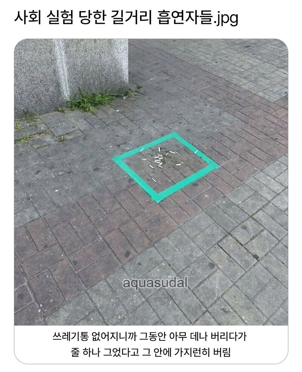 길거리 흡연자들 사회 실험 | 인스티즈