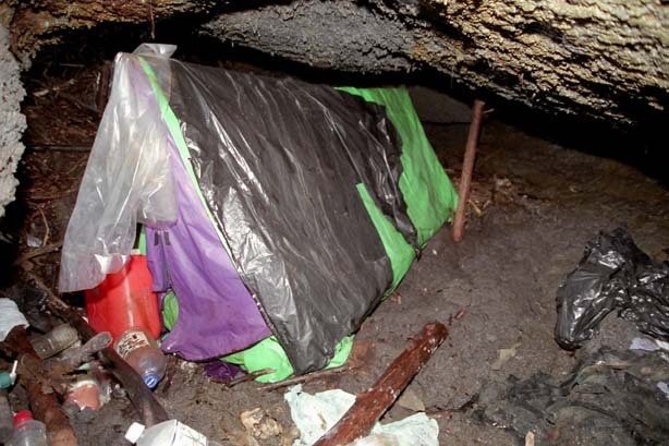 일본의 죽음의 숲 (일본 내 자살1위) 아오키가하라 사진. (시체 , 심약자, 비위약한사람들 보면안됨) | 인스티즈