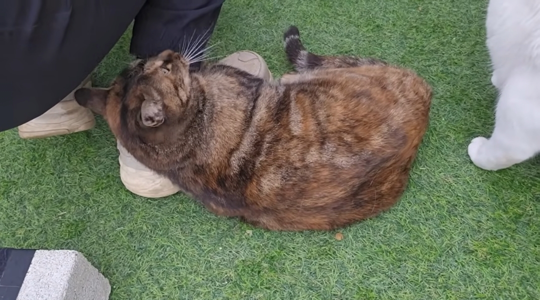 5년만에 haha ha에게 마음을 연 카오 | 인스티즈