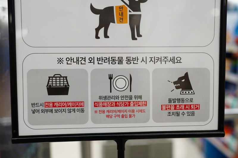 사람들이 개모차 쓰는 진짜 이유 | 인스티즈