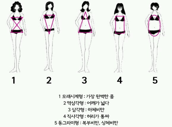 5가지 여자 몸매 유형.jpg | 인스티즈