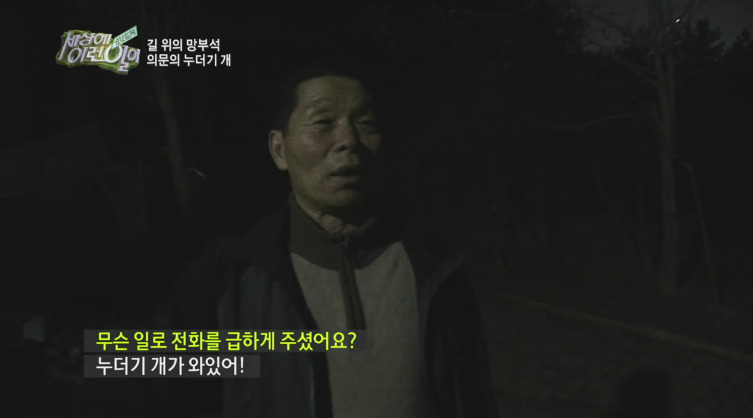 [세상에이런일이] 도로위에 망부석이 되서 주인을 기다리는 강아지.jpg | 인스티즈