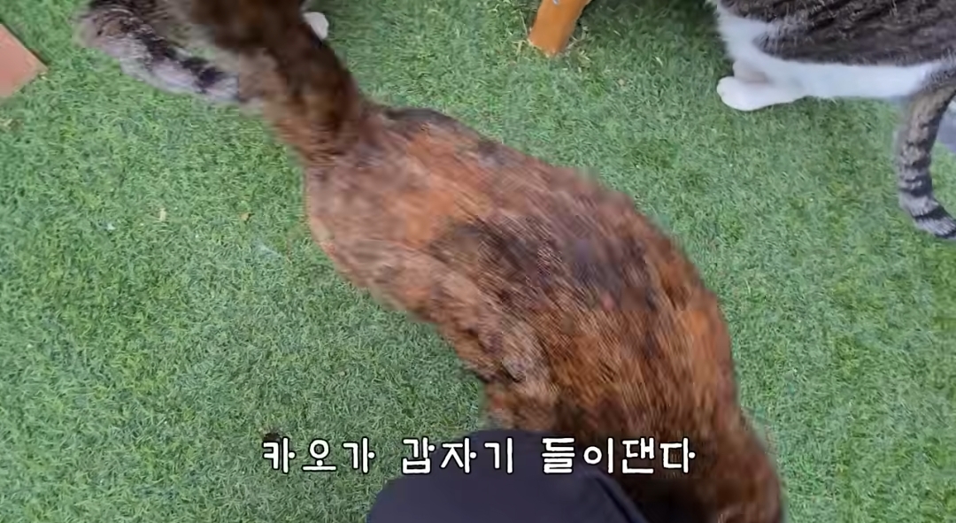 5년만에 haha ha에게 마음을 연 카오 | 인스티즈