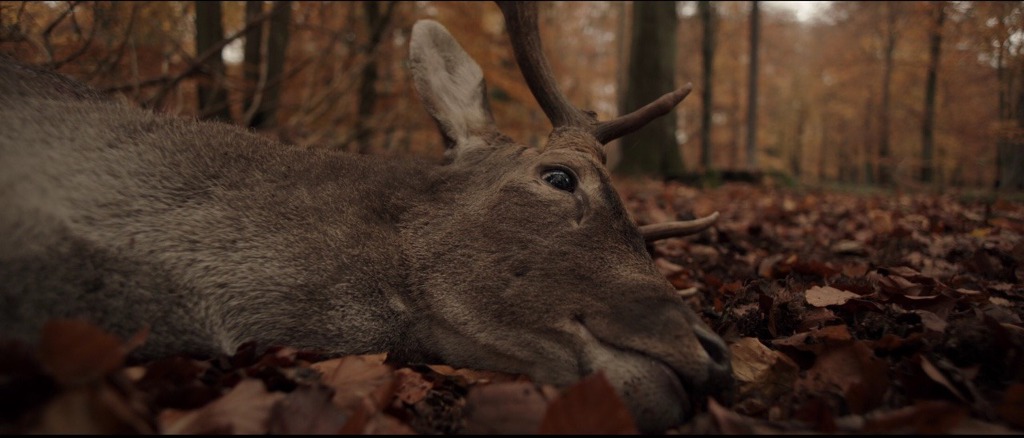 [영화] 더 헌트 (The Hunt, 2012) | 인스티즈