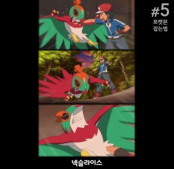포켓몬스터 지우 쓰레기 인성질 모음 .jpg | 인스티즈
