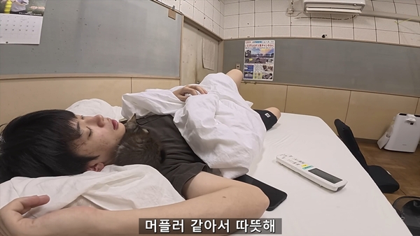 아기 고양이 냥줍했는데 반응 난리난 일본 유튜버.jpg | 인스티즈