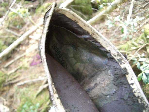 일본의 죽음의 숲 (일본 내 자살1위) 아오키가하라 사진. (시체 , 심약자, 비위약한사람들 보면안됨) | 인스티즈