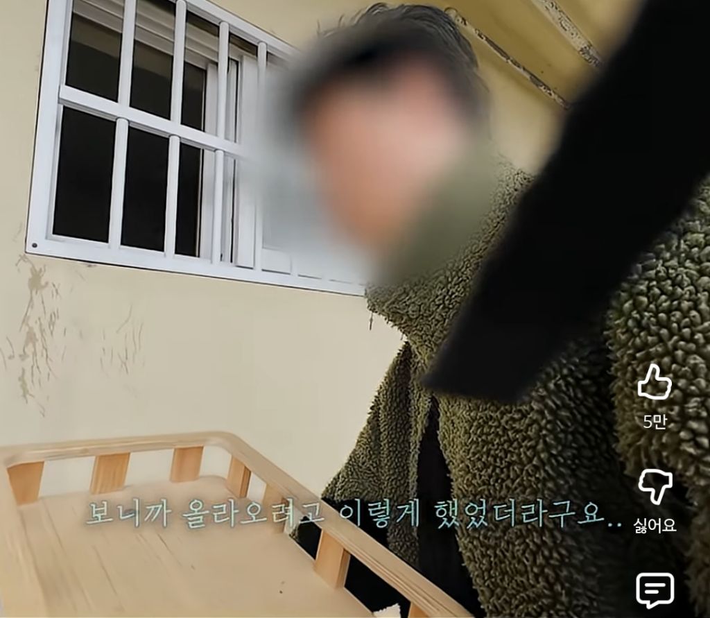 고양이 잃어버렸던 집사가 보자마자 무너진 흔적ㅠ | 인스티즈