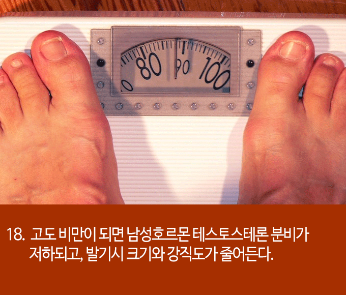 발기에 대한 흥미로운 22가지 사실들 | 인스티즈