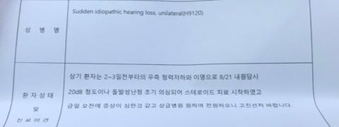돌발성 난청 후기 | 인스티즈