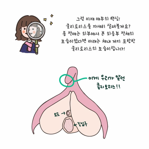 클리토리스로 홍콩가기 - 자위, 애무법 | 인스티즈