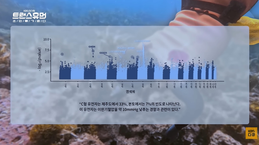 너무 놀라워서 해외에서 연구감이라는 우리나라 직업 | 인스티즈