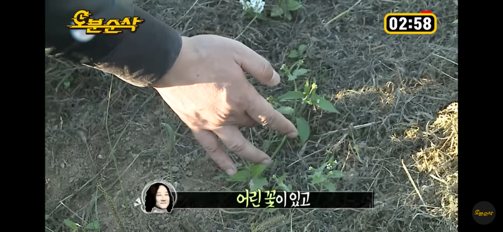 솔직히 나혼자산다 레전드편임 | 인스티즈