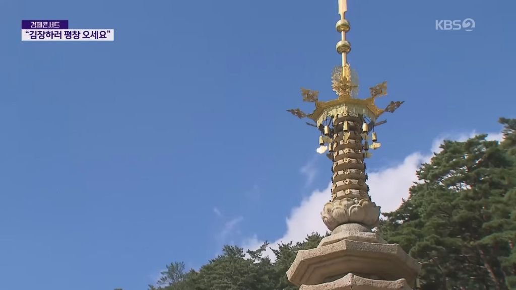 현재 반응 너무 좋다는 평창 김장 축제 | 인스티즈