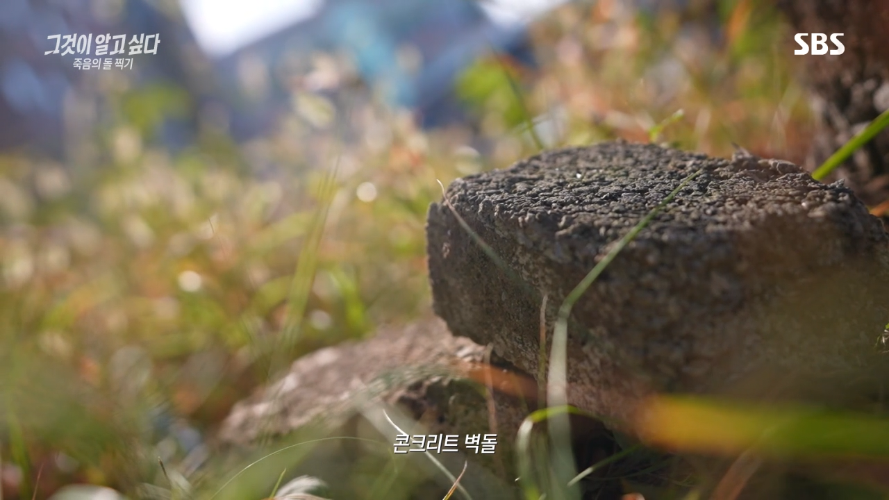 실시간 혼란스럽다고 난리난 그것이 알고싶다 충격 근황.jpg | 인스티즈