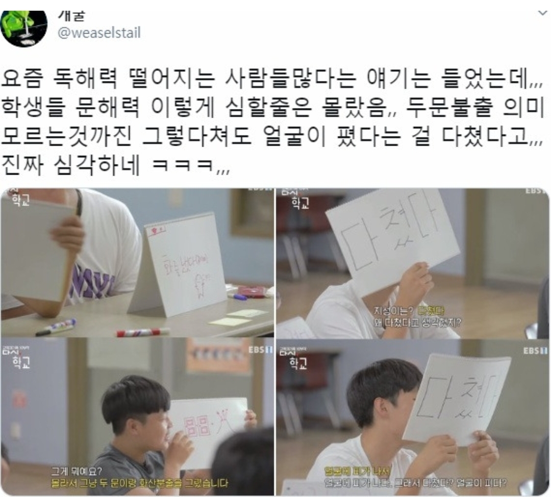 트위터로 밝혀진 요즘 사람들 어휘력 수준..twt | 인스티즈
