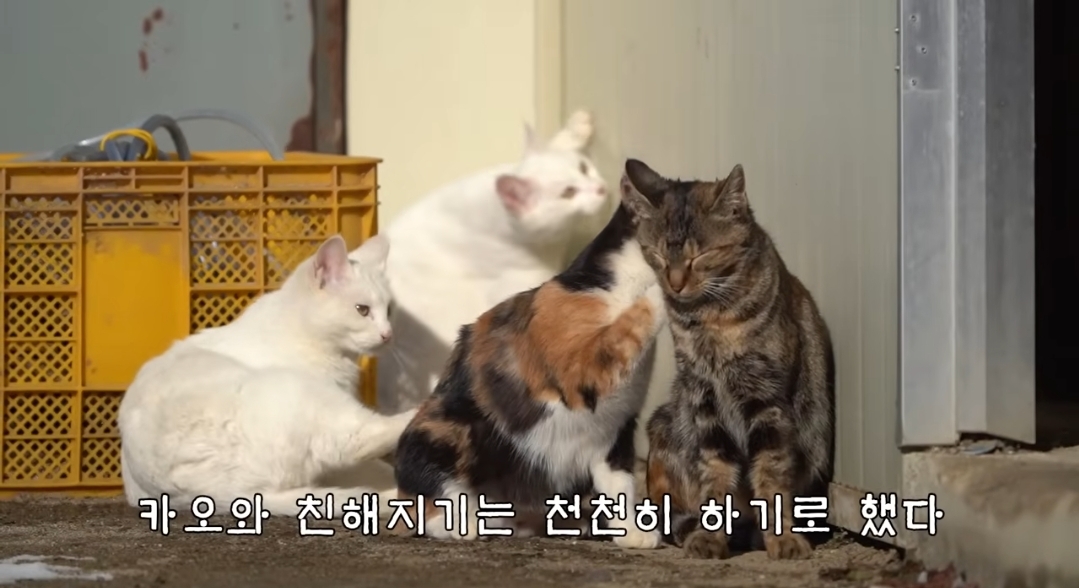5년만에 haha ha에게 마음을 연 카오 | 인스티즈