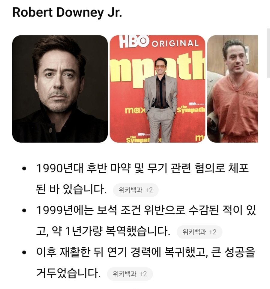 전과가 있는 미국 연예인들.jpg | 인스티즈