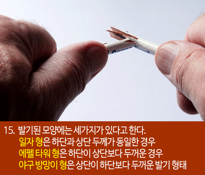 발기에 대한 흥미로운 22가지 사실들 | 인스티즈