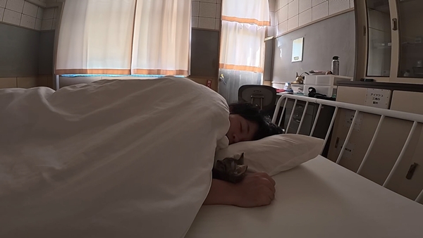 아기 고양이 냥줍했는데 반응 난리난 일본 유튜버.jpg | 인스티즈